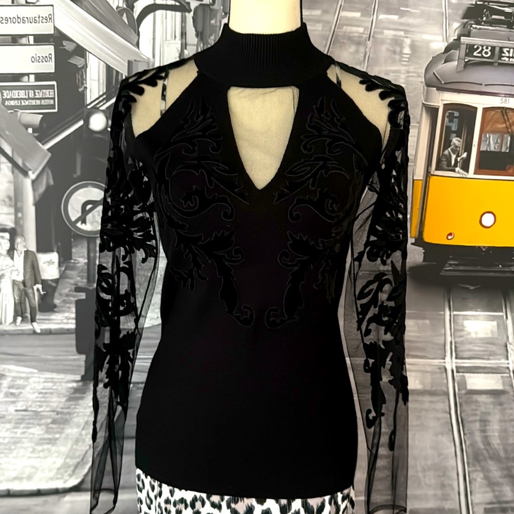 Elegant Black Sheer Sleeve Top new with a tag